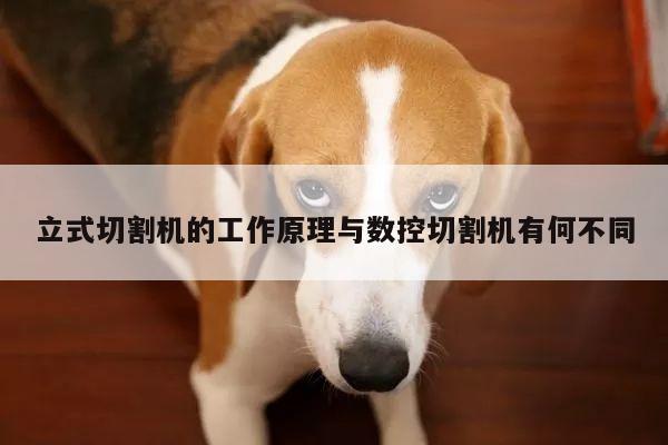 【爱游戏(ayx)官方网站】立式切割机的工作原理与数控切割机有何不同