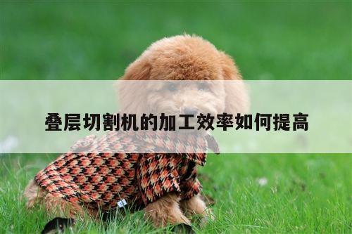 叠层切割机的加工效率如何提高-爱游戏app