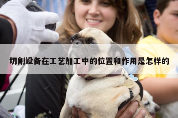 切割设备在工艺加工中的位置和作用是怎样的|爱游戏平台