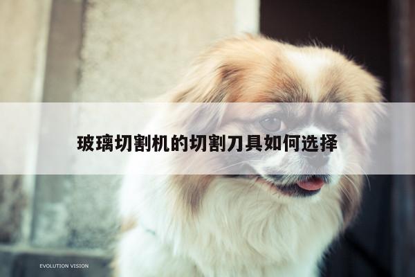 玻璃切割机的切割刀具如何选择：爱游戏app