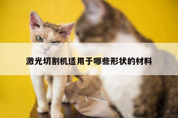 爱游戏app|激光切割机适用于哪些形状的材料