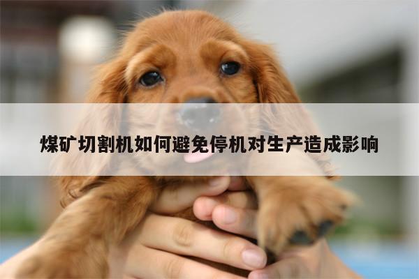 爱游戏平台_煤矿切割机如何避免停机对生产造成影响