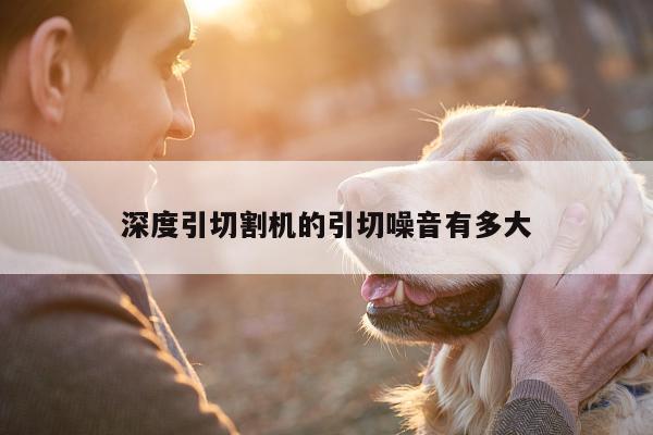 爱游戏(ayx)官方网站：深度引切割机的引切噪音有多大