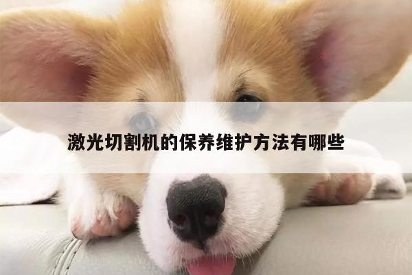激光切割机的保养维护方法有哪些_爱游戏app