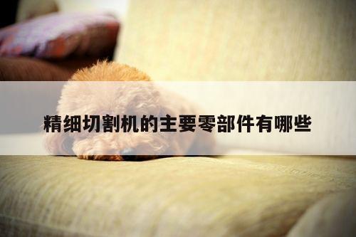 ayx爱游戏_精细切割机的主要零部件有哪些