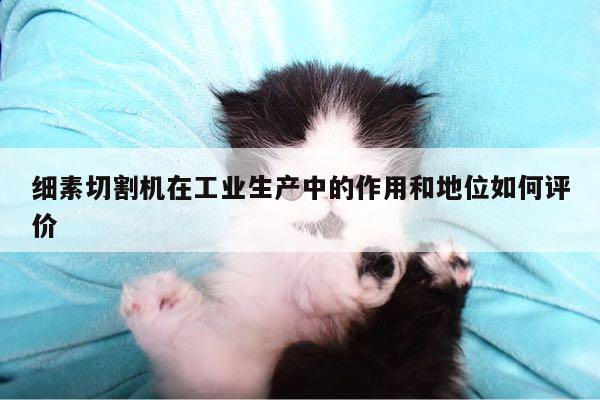 爱游戏app|细素切割机在工业生产中的作用和地位如何评价