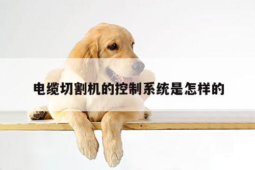 ayx爱游戏|电缆切割机的控制系统是怎样的