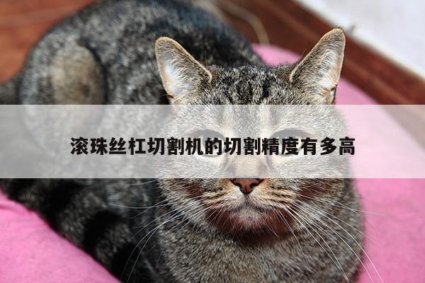 爱游戏平台：滚珠丝杠切割机的切割精度有多高