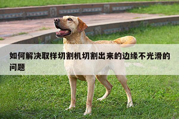 爱游戏app：如何解决取样切割机切割出来的边缘不光滑的问题