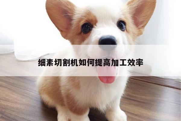爱游戏平台|细素切割机如何提高加工效率