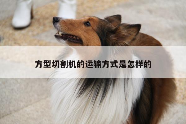 爱游戏(ayx)官方网站：方型切割机的运输方式是怎样的