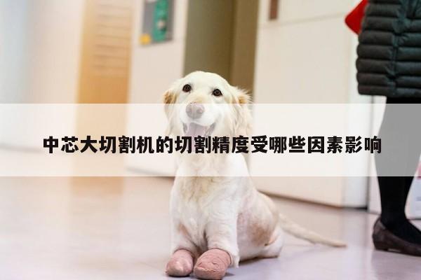 中芯大切割机的切割精度受哪些因素影响-爱游戏平台
