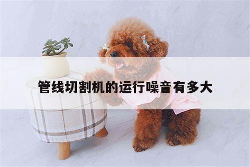 管线切割机的运行噪音有多大|ayx爱游戏