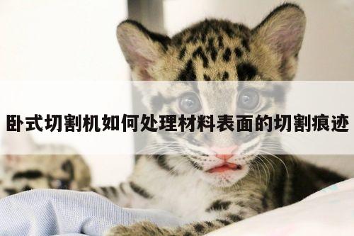 爱游戏(ayx)官方网站_卧式切割机如何处理材料表面的切割痕迹
