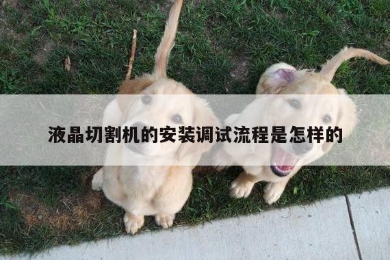 液晶切割机的安装调试流程是怎样的|ayx爱游戏