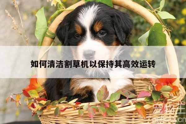【爱游戏平台】如何清洁割草机以保持其高效运转