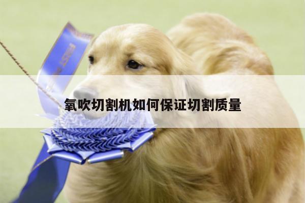 ayx爱游戏-氧吹切割机如何保证切割质量
