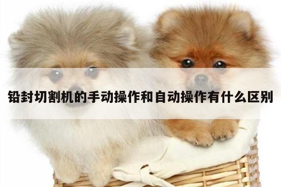 铅封切割机的手动操作和自动操作有什么区别|爱游戏app