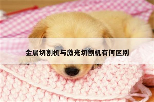 金属切割机与激光切割机有何区别：爱游戏app