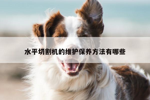 【爱游戏(ayx)官方网站】水平切割机的维护保养方法有哪些