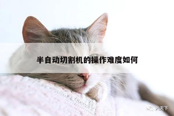 半自动切割机的操作难度如何_爱游戏平台
