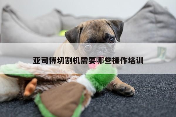 爱游戏app|亚司博切割机需要哪些操作培训