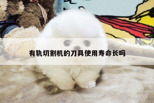 有轨切割机的刀具使用寿命长吗：爱游戏(ayx)官方网站