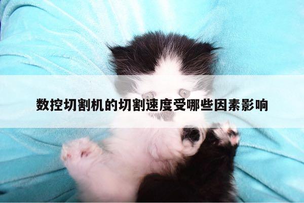 数控切割机的切割速度受哪些因素影响【爱游戏(ayx)官方网站】