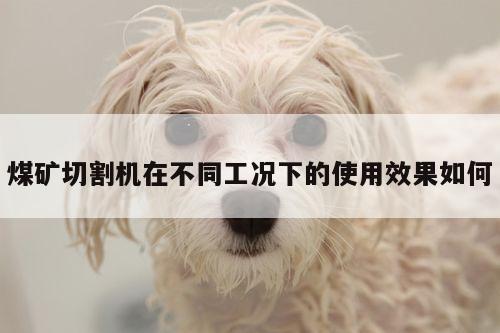 煤矿切割机在不同工况下的使用效果如何|爱游戏(ayx)官方网站