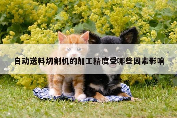 【爱游戏app】自动送料切割机的加工精度受哪些因素影响