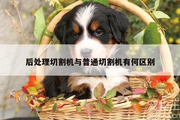 后处理切割机与普通切割机有何区别：ayx爱游戏