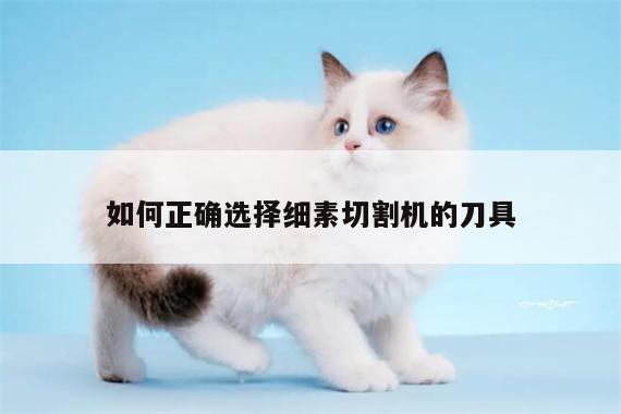 如何正确选择细素切割机的刀具_爱游戏(ayx)官方网站