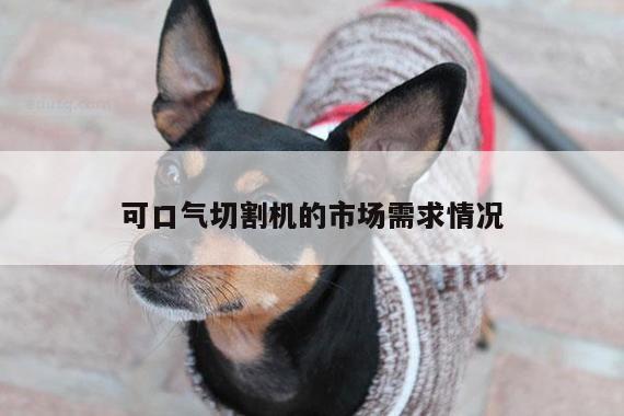 可口气切割机的市场需求情况【爱游戏app】