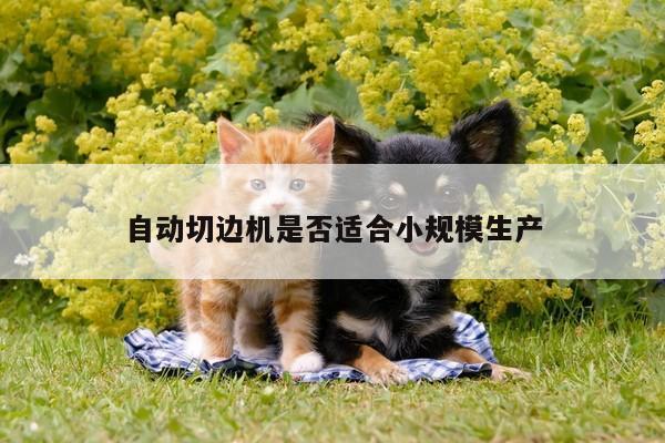【爱游戏(ayx)官方网站】自动切边机是否适合小规模生产