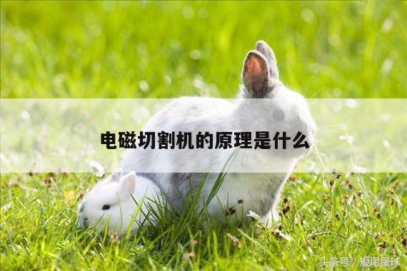 ayx爱游戏_电磁切割机的原理是什么