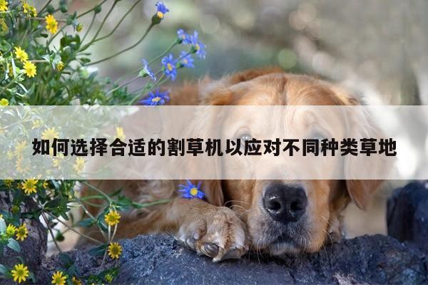 如何选择合适的割草机以应对不同种类草地：爱游戏平台