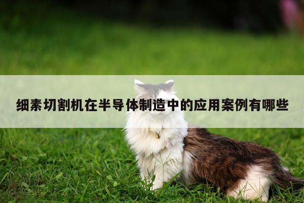 细素切割机在半导体制造中的应用案例有哪些【爱游戏平台】