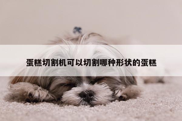 ayx爱游戏_蛋糕切割机可以切割哪种形状的蛋糕