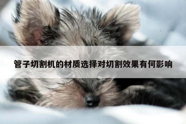 管子切割机的材质选择对切割效果有何影响-爱游戏app