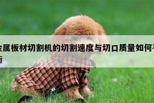 爱游戏平台|金属板材切割机的切割速度与切口质量如何平衡
