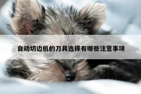 自动切边机的刀具选择有哪些注意事项：爱游戏平台