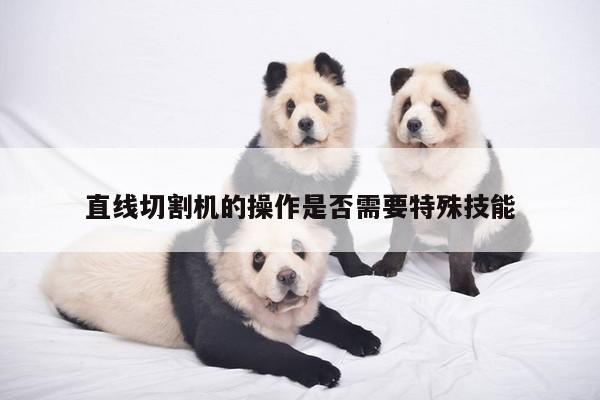 直线切割机的操作是否需要特殊技能_ayx爱游戏