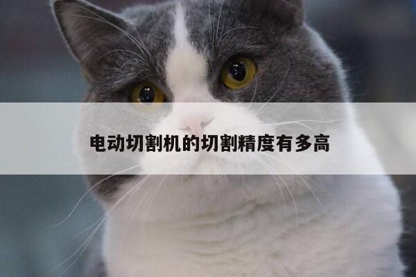 电动切割机的切割精度有多高|爱游戏app