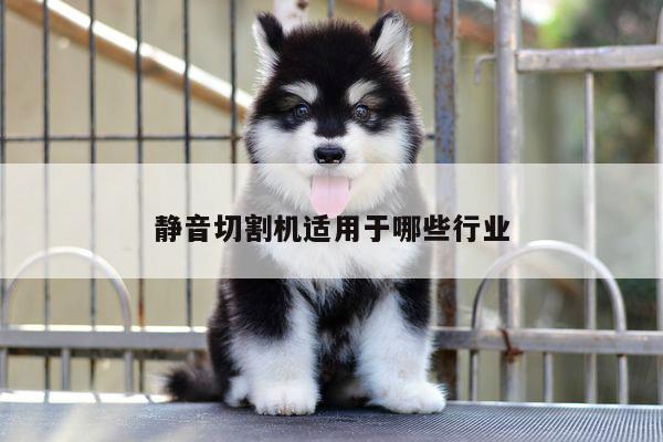 爱游戏(ayx)官方网站_静音切割机适用于哪些行业