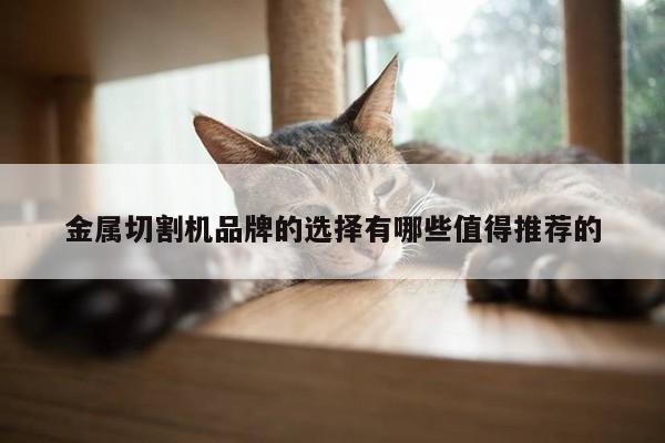 金属切割机品牌的选择有哪些值得推荐的：ayx爱游戏
