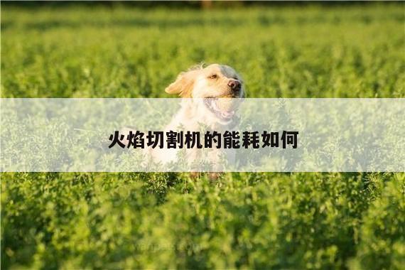 爱游戏平台_火焰切割机的能耗如何
