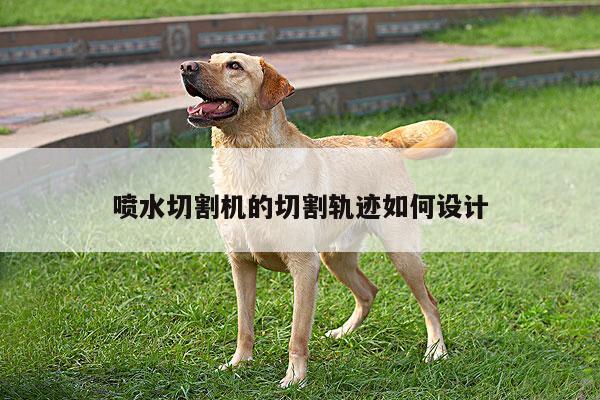 喷水切割机的切割轨迹如何设计_ayx爱游戏