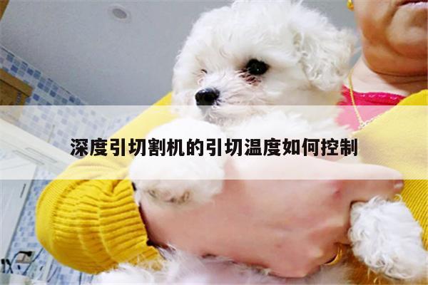 深度引切割机的引切温度如何控制【爱游戏平台】