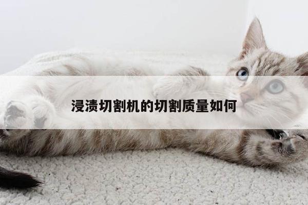 爱游戏平台：浸渍切割机的切割质量如何