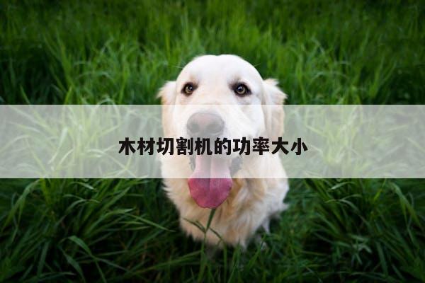 木材切割机的功率大小【爱游戏app】